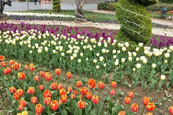 Alanya Belediye Parkı - Resim 20