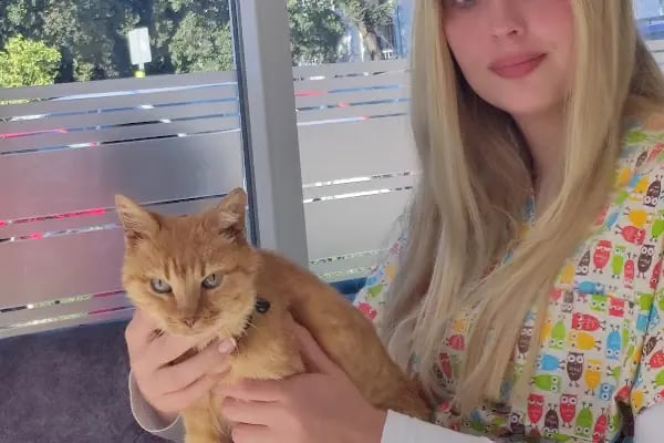 Bodrum Eira Veteriner Kliniği - Resim 19