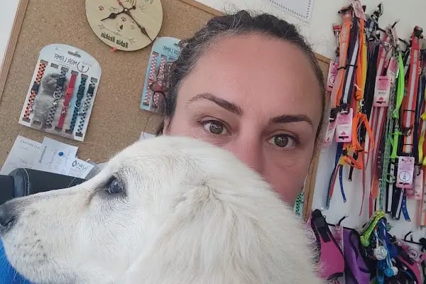 Bodrum Eira Veteriner Kliniği - Resim 8