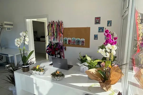 Bodrum Eira Veteriner Kliniği - Resim 18