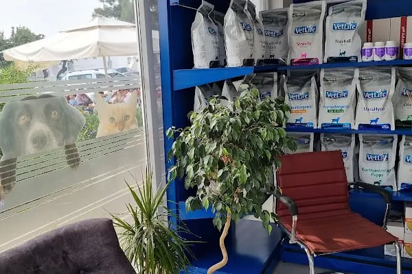 Bodrum Eira Veteriner Kliniği - Resim 16