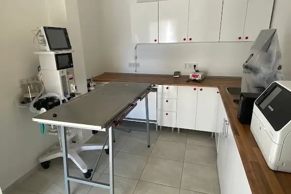 Bodrum Eira Veteriner Kliniği - Resim 7