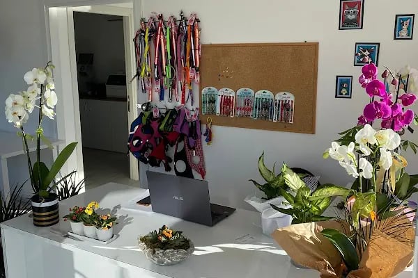 Bodrum Eira Veteriner Kliniği - Resim 5