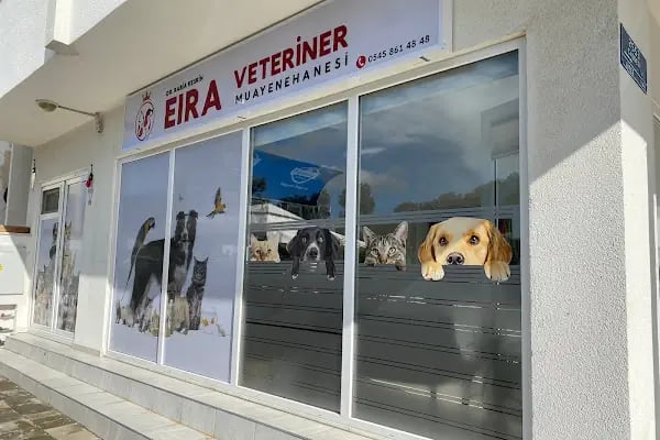 Bodrum Eira Veteriner Kliniği - Resim 3