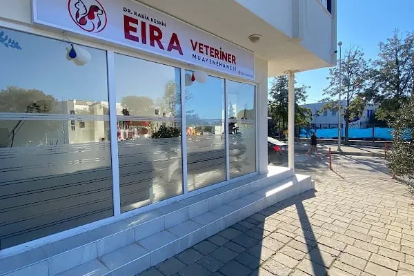 Bodrum Eira Veteriner Kliniği - Resim 2