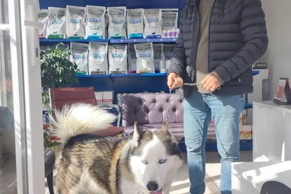 Bodrum Eira Veteriner Kliniği - Resim 11