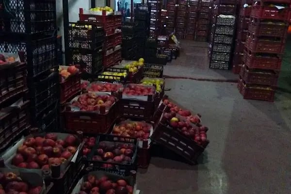Yaş Sebze Ve Meyve Toptancı Hal Tesisleri - Resim 4