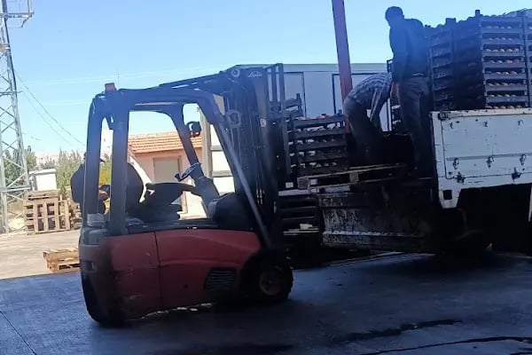 Yaş Sebze Ve Meyve Toptancı Hal Tesisleri - Resim 11