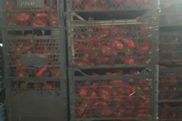 Yaş Sebze Ve Meyve Toptancı Hal Tesisleri - Resim 13