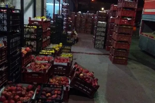 Yaş Sebze Ve Meyve Toptancı Hal Tesisleri - Resim 5