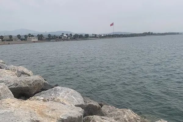 Ağapark kafe 4 - Resim 13
