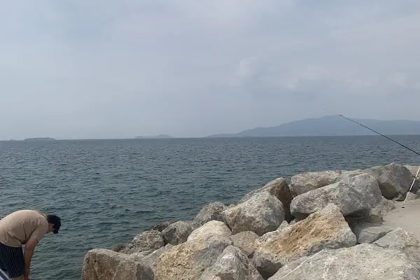 Ağapark kafe 4 - Resim 6