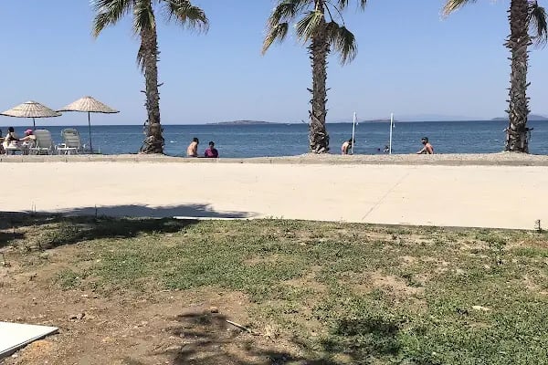 Ağapark kafe 4 - Resim 3