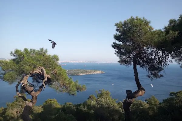 Büyükada Vapur İskelesi - Resim 6