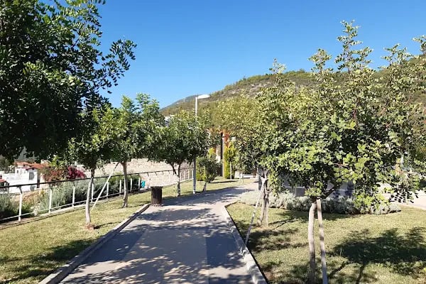 Tavşandamı parkı - Resim 5