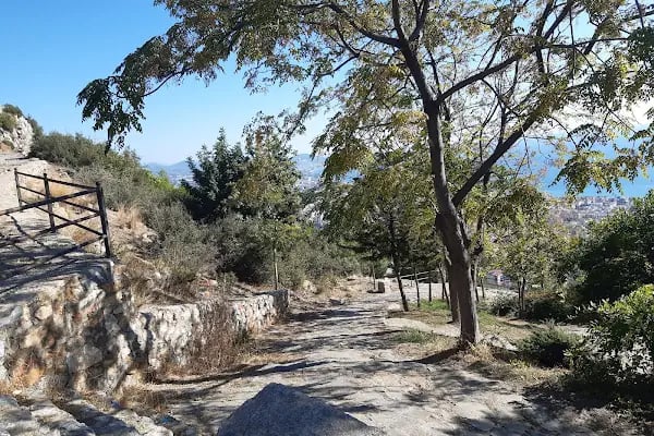 Tavşandamı parkı - Resim 14