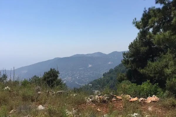 Tavşandamı parkı - Resim 18