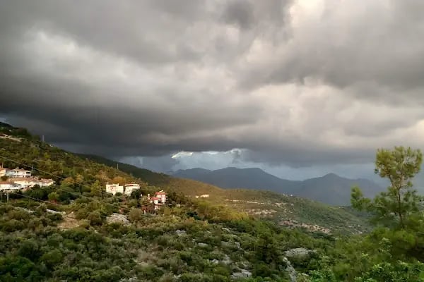 Tavşandamı parkı - Resim 12
