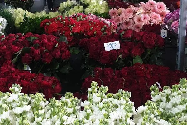 s.s flora çiçek üretim ve pazarlama kooperatifi - Resim 9