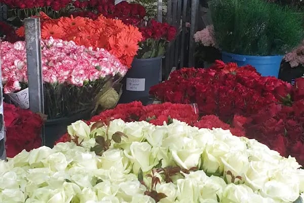 s.s flora çiçek üretim ve pazarlama kooperatifi - Resim 7