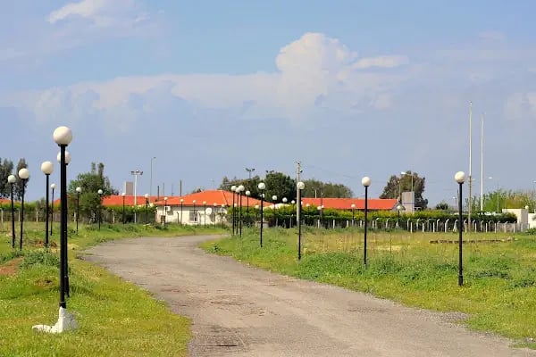 s.s flora çiçek üretim ve pazarlama kooperatifi - Resim 12
