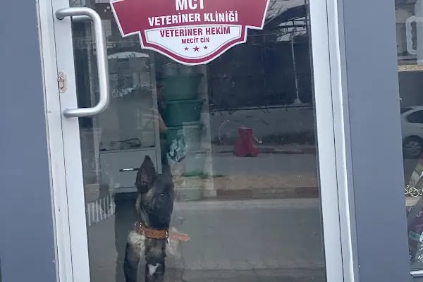 Mct Veteriner Kliniği - Resim 3