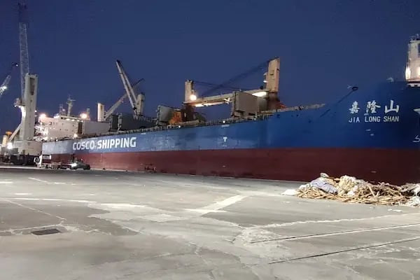 Safiport Derince - Resim 20