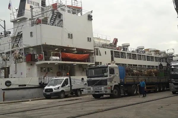 Safiport Derince - Resim 15