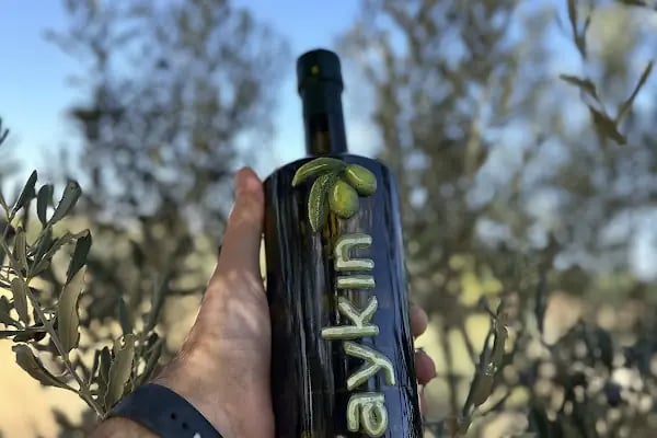 Yaykın zeytin-zeytinyağı fabrikası - Resim 13