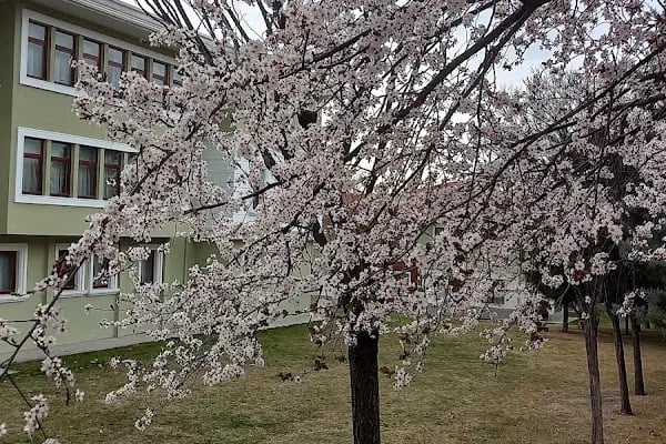 Güneşevler Parkı - Resim 15
