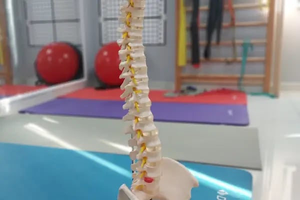 FizyoSorte - Pilates &amp; Fizyoterapi - Resim 16