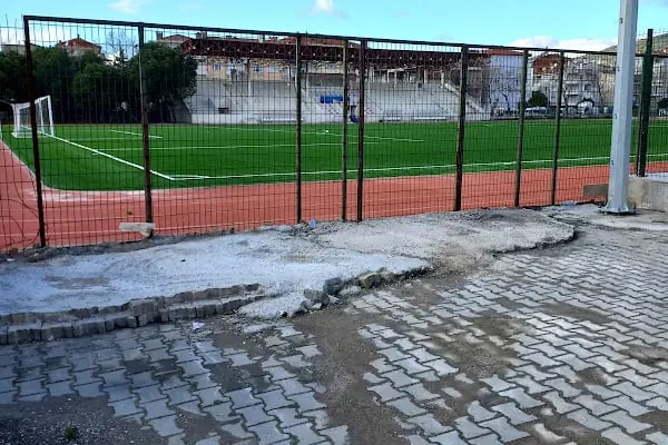 Gemlik Atatürk Stadı - Resim 8