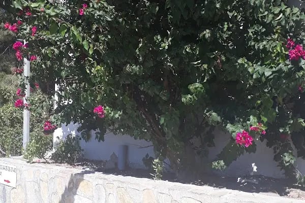 Cennet Sitesi - Resim 11