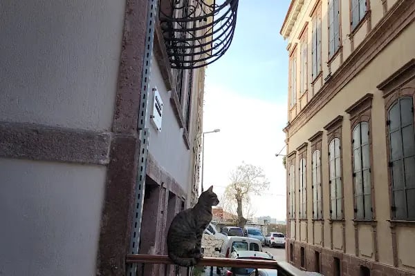 Köy Enstitüleri Anı ve Kültür Evi - Resim 6
