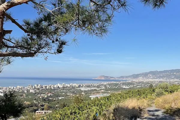 Mahmutlar Belediyesi Mesire Alanı - Resim 5
