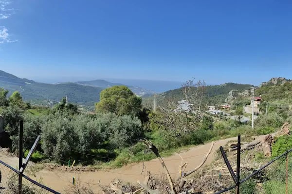 Mahmutlar Belediyesi Mesire Alanı - Resim 19