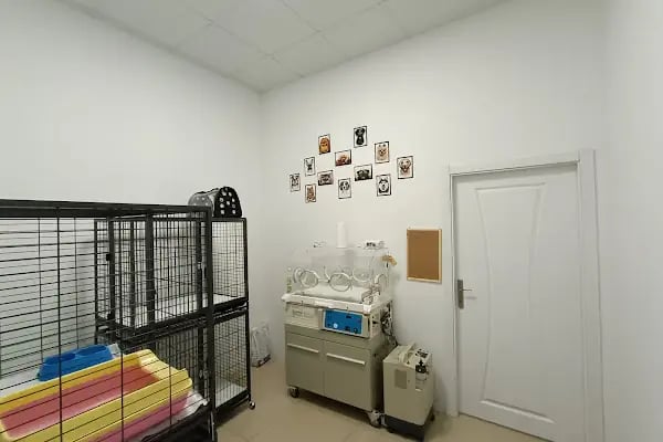 Vet Extra Ovacık Veteriner Kliniği - Resim 3