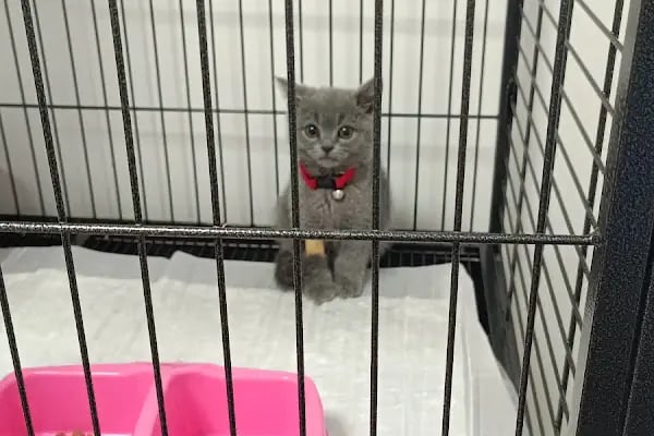 Vet Extra Ovacık Veteriner Kliniği - Resim 19