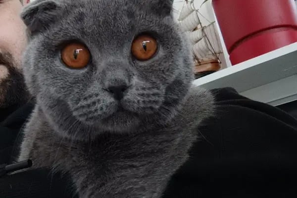 Vet Extra Ovacık Veteriner Kliniği - Resim 12