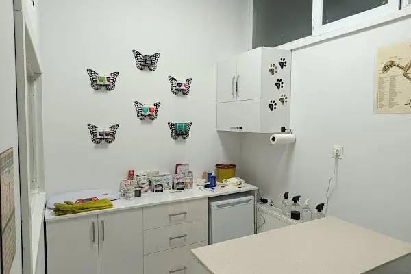 Vet Extra Ovacık Veteriner Kliniği - Resim 15