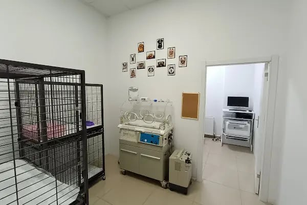 Vet Extra Ovacık Veteriner Kliniği - Resim 13
