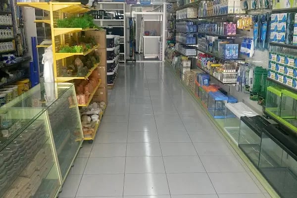 Yıldız Akvaryum &amp; Petshop - Resim 3