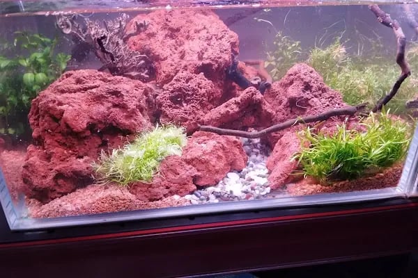 Malatya Kadife Pet Shop - Resim 15