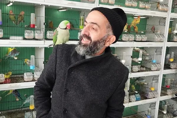 Malatya Kadife Pet Shop - Resim 2