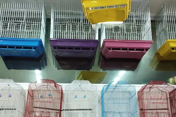 Malatya Kadife Pet Shop - Resim 12