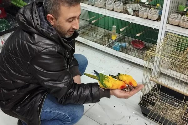 Malatya Kadife Pet Shop - Resim 4