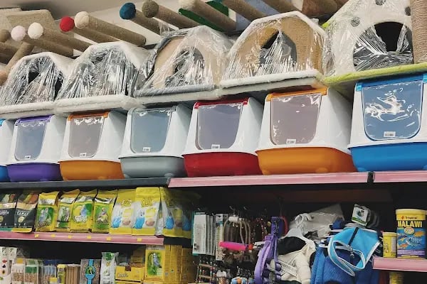 Malatya Kadife Pet Shop - Resim 3