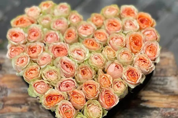 Alanya flowers love ( Alanya love çiçek ) - Resim 12