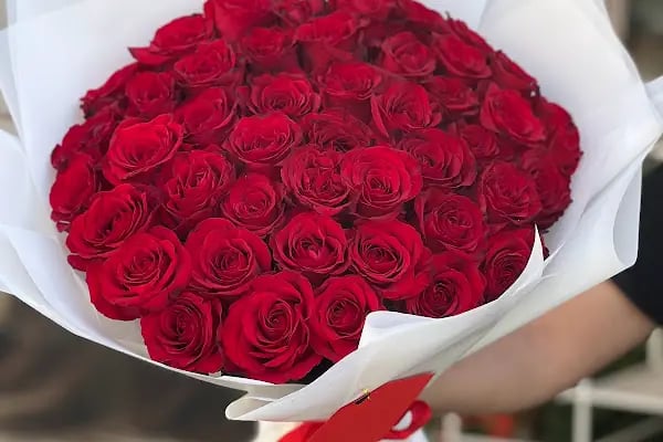 Alanya flowers love ( Alanya love çiçek ) - Resim 14