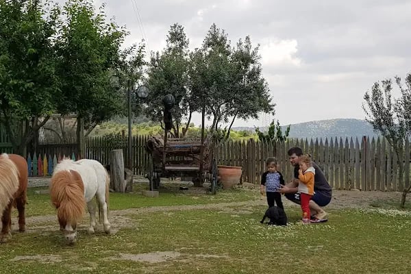 Naturalife Çiftlik Evi, Konaklama, Tire Otel, Selçuk Otel, Torbalı Otel, Oda+Kahvaltı (Lütfen rezervasyon yaptırınız) - Resim 19